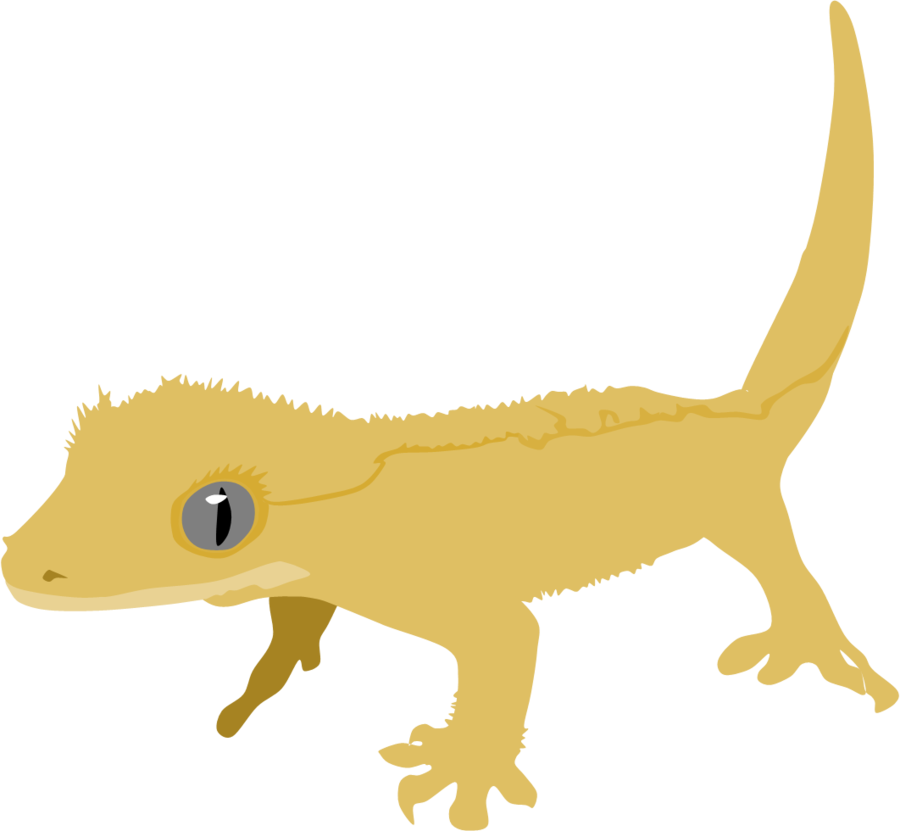 Crested Gecko By Adamzt2 - Crested Gecko Clip Art (900x831)