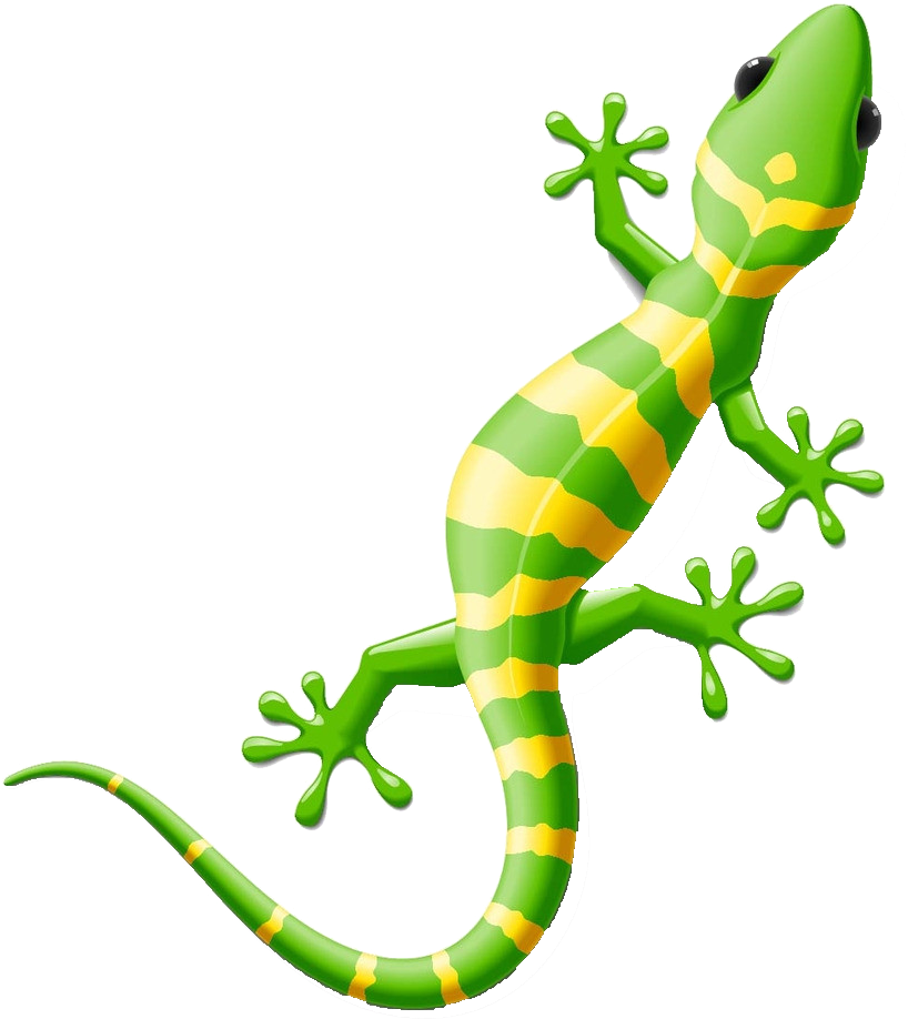 Lizard Reptile Gecko Clip Art - Lizard Reptile Gecko Clip Art (1024x1024)