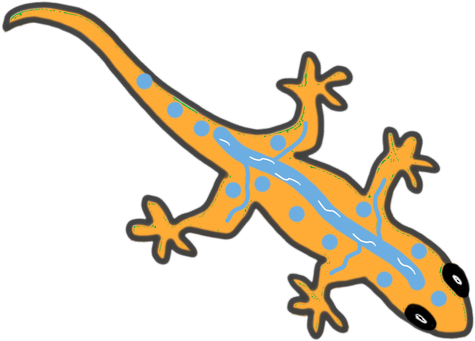 River Gecko Ltd - River (1632x1224)
