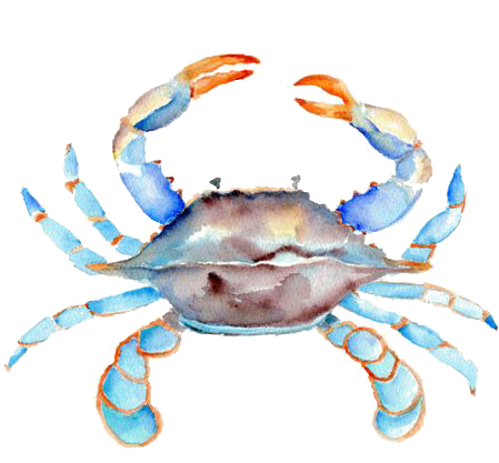 Crab Cake Watercolor Painting Chesapeake Blue Crab - Blue Crab Clip Art (564x451)