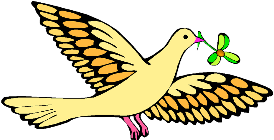 God Never Fails - Dove Gif Clipart (960x486)