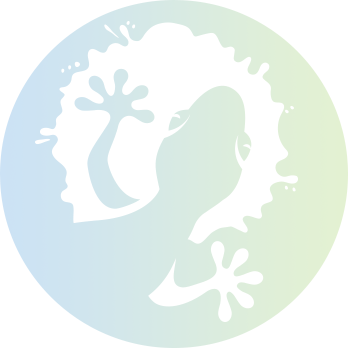 Meet The Gecko - Circle (348x348)