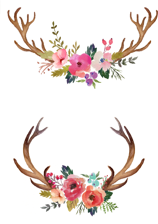 Watercolour Flowers Watercolor Painting - Antlers With Flowers Clipart (1161x942)