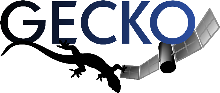 Gecko - Gekkonidae (740x383)