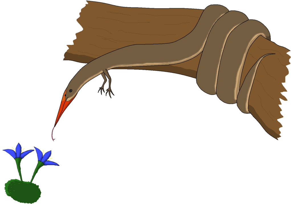 Speculative Evolution By Brunocreator - Speculative Evolution Pterosaurs (1024x768)