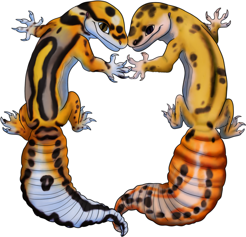 Leopard Gecko Love By Dogthatkills Leopard Gecko Love - Invertebrate (1024x889)