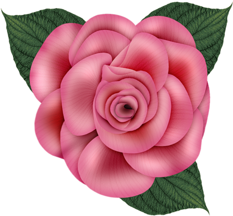 0 1258e4 C332e9d L - Todos Tipos De Rosas (500x500)