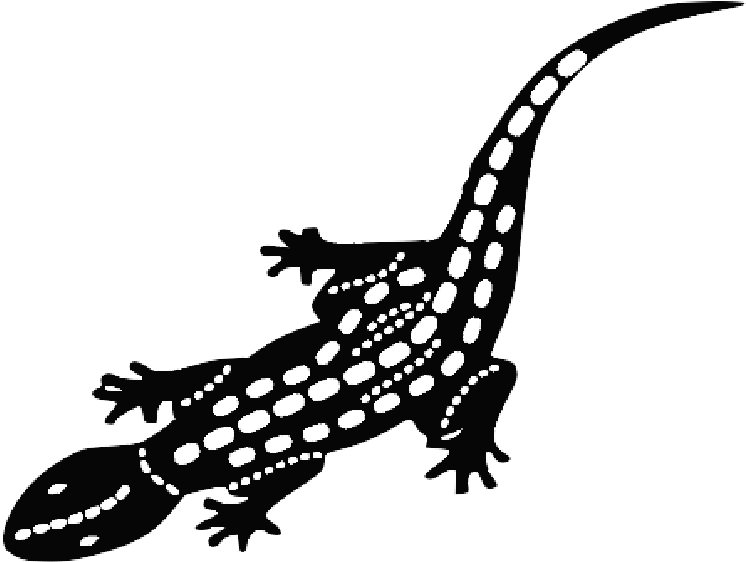 Gecko Fotor - Fotor (800x605)