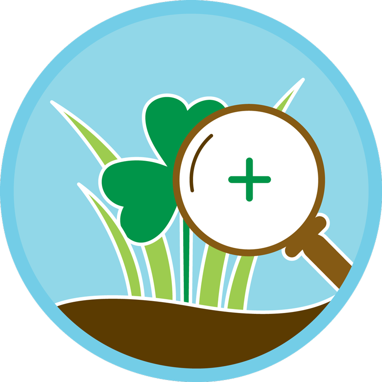 Follow-up Inspections And Maintenance Practices - Team Image (780x780)