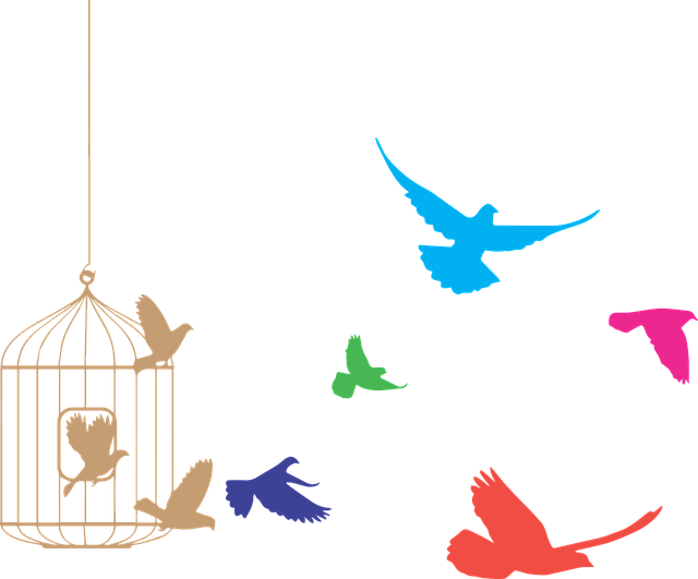 Conservation On The Move - Bird Flying Out Of Cage (640x531)