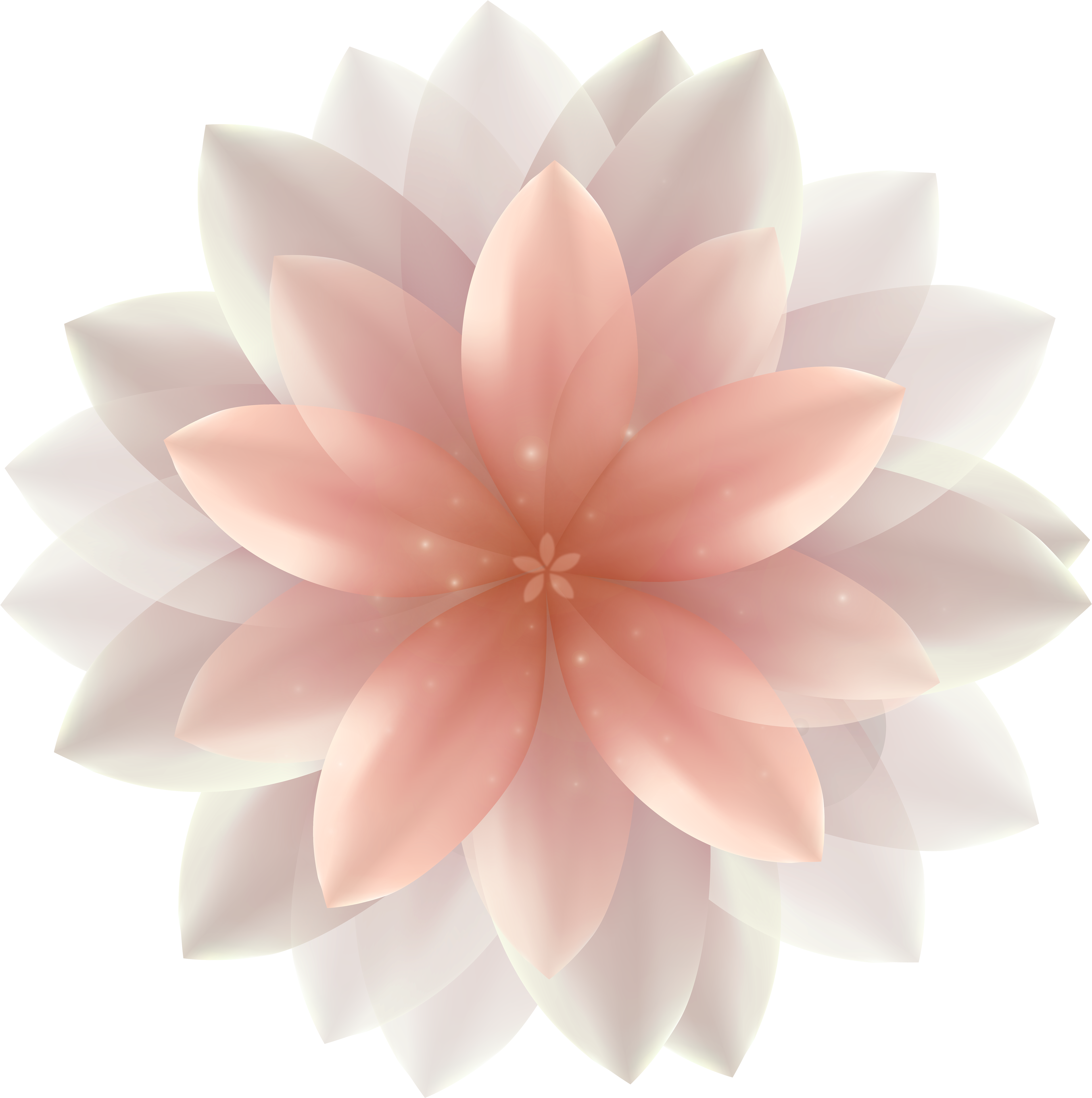 Free Flower Cliparts Transparent, Download Free Clip - Transparent Flower (5000x5028)