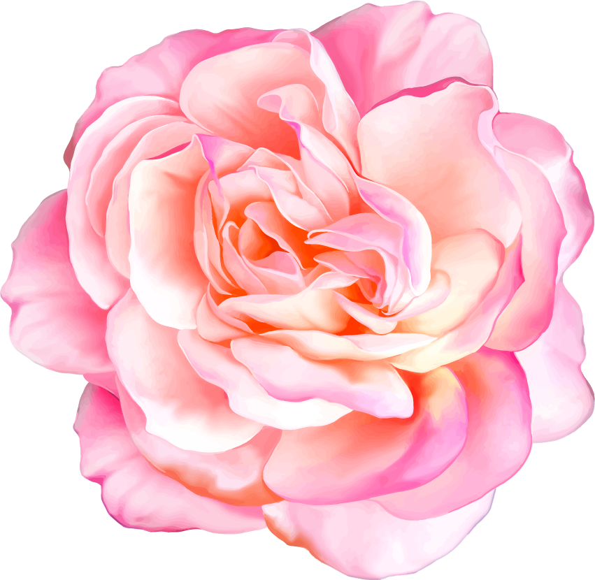 Png Клипарт "beautiful Flowers" - Realistic Flower Vector (851x830)