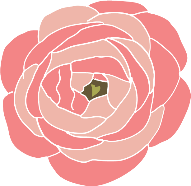 Clip Arts Related To - Ranunculus Clipart (620x688)