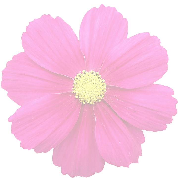 Transparent Flowers Images - Flower Transparent (719x720)