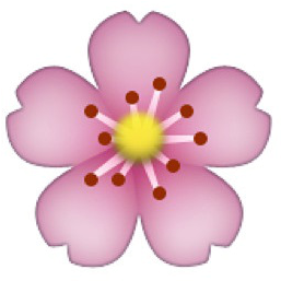 Best Transparent Flower Background Transparent Flower - Flower Emoji Png (447x408)