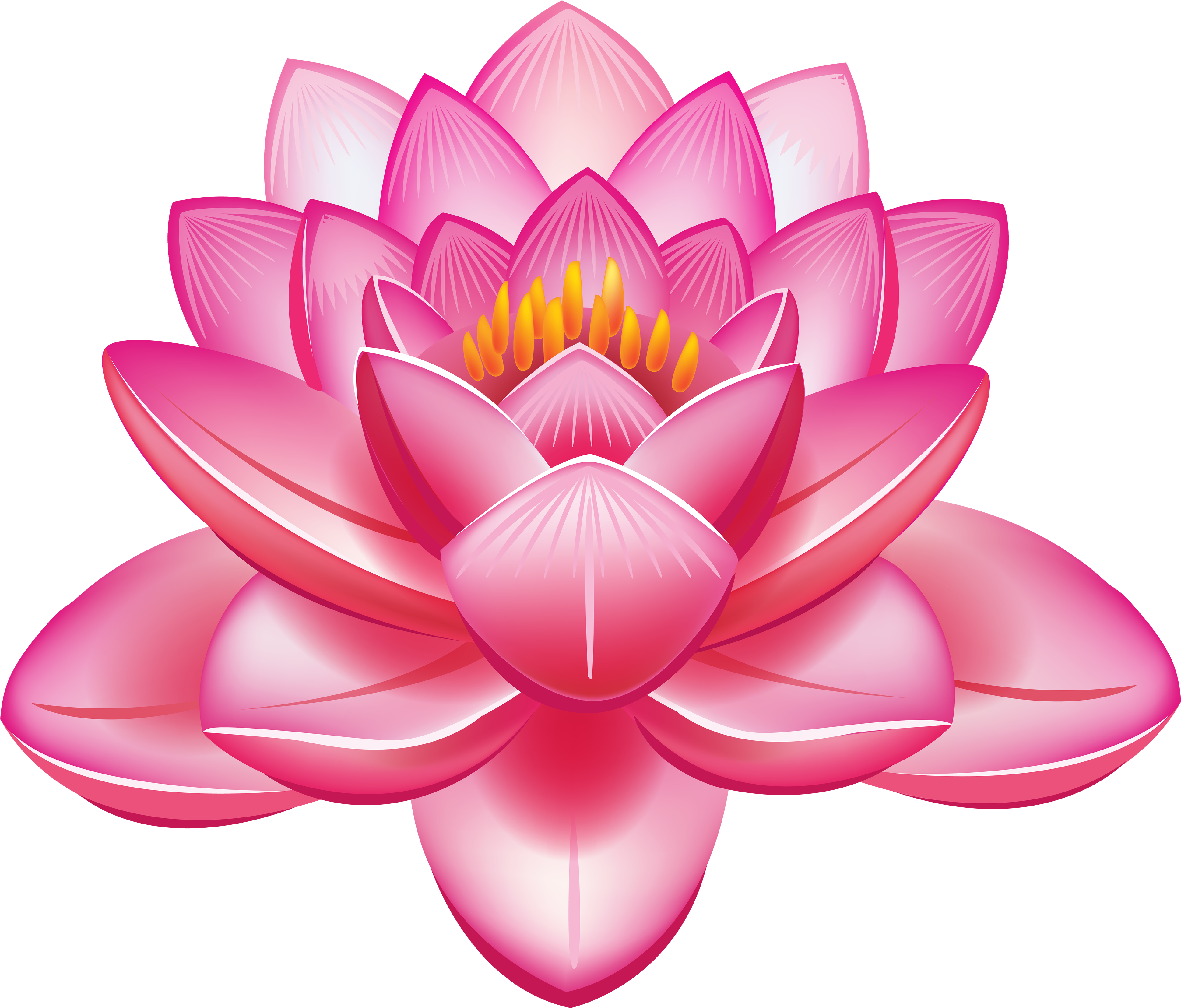 Pink Rose Clipart Lily - Lotus Flower Png (4000x3414)