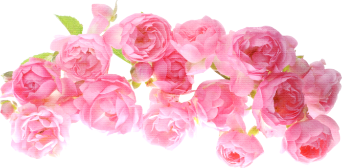 Png Клипарт Цветы - Texture Roses Png (699x344)