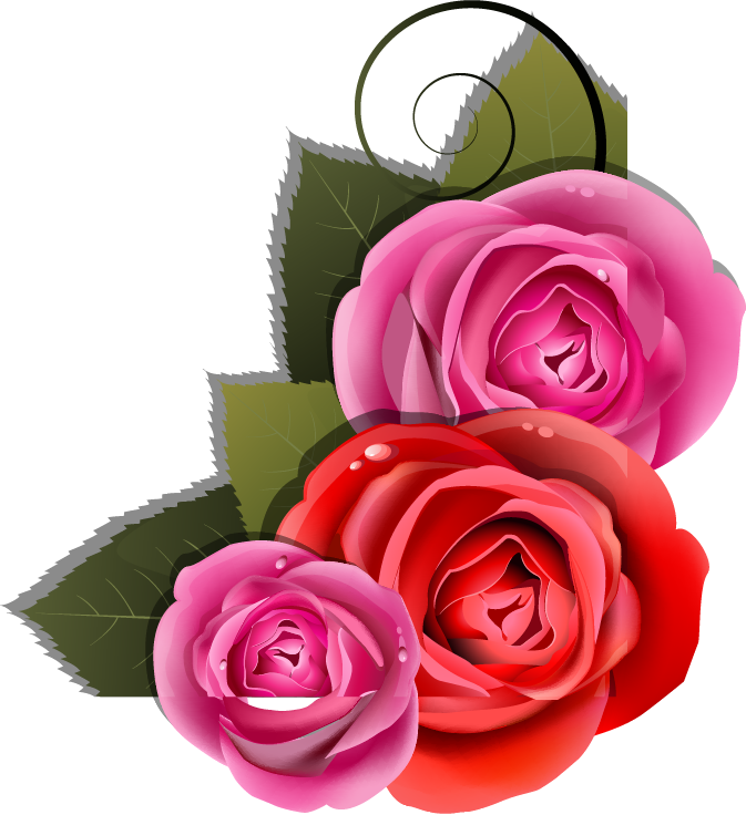 Natali На - Garden Roses (673x736)