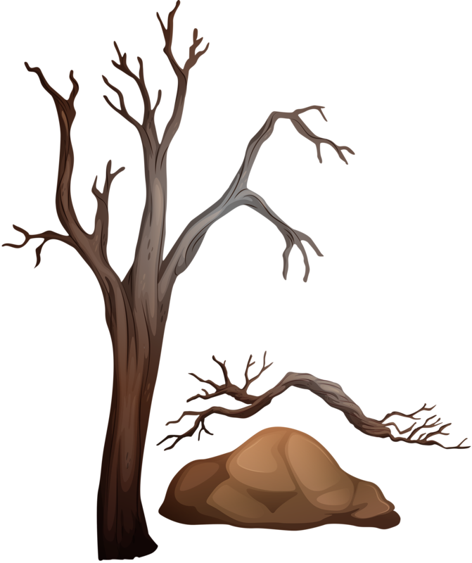 Árvore Seca - Png Arvore Seca (671x800)