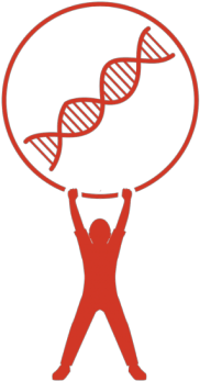 A Foundation Building Strength Inc - Illustrator Eps Dna Illustrator (350x350)