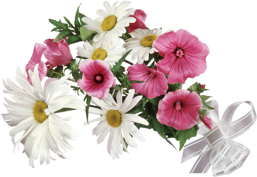 Virág Képek Háttér Nélkül, Átlátszó Hátterű Png Képek - Ruchome Gify Na Poniedziałek (900x629)