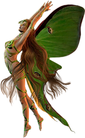 Fantazia Tunderek - Happy St Patrick's Day Birthday (302x476)