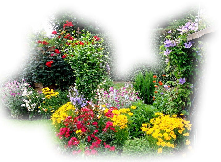   Átlátszó Hátterű Képek (717x526)