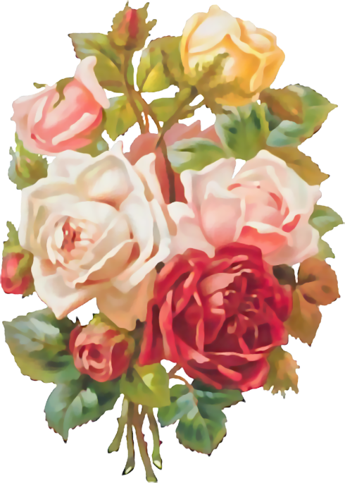 Mother's Day Roses Throw Blanket (490x685)