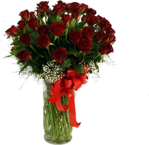 50 Red Roses In Vase Ballito Flowers - Red Roses (590x590)