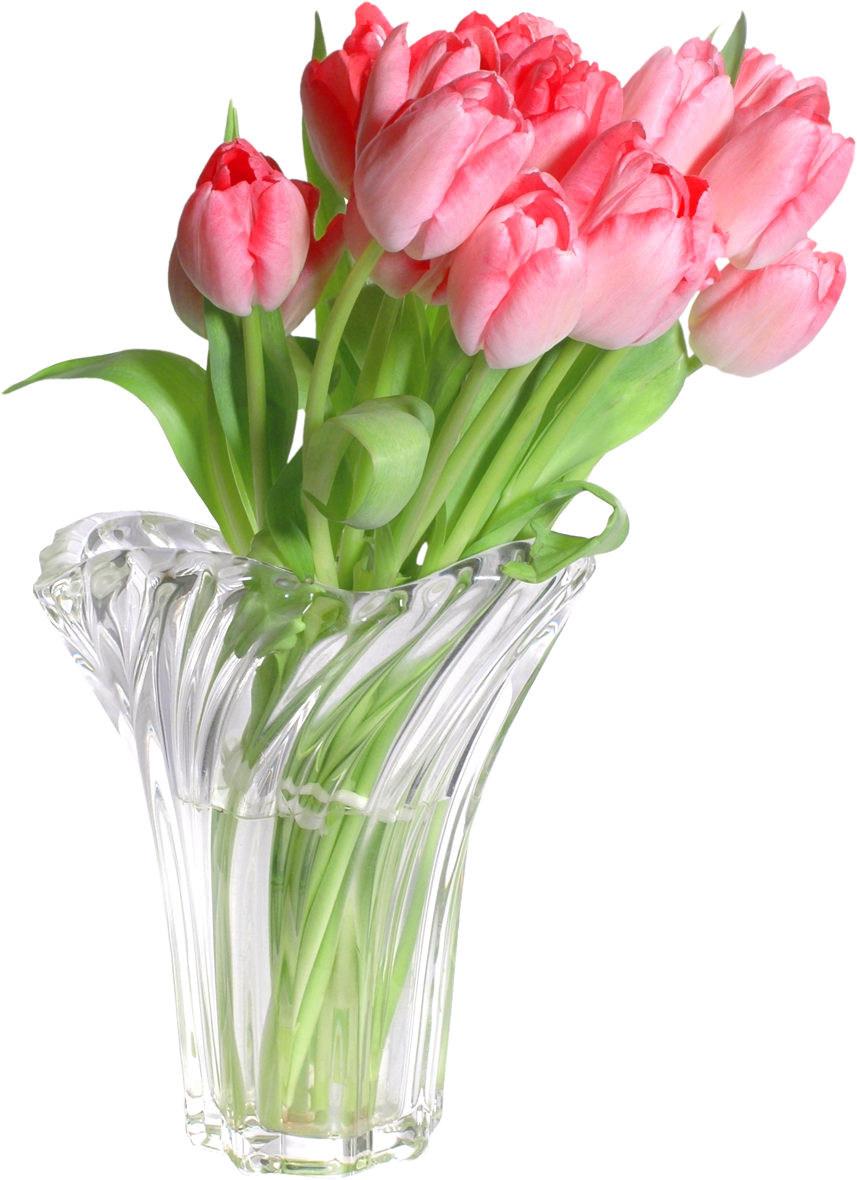 View Full Size - Pink Vase Png (1782x2404)