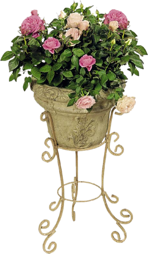 Garden Parties, Party, Vintage Drawing, Father, Cgi, - Flowerpot (292x500)