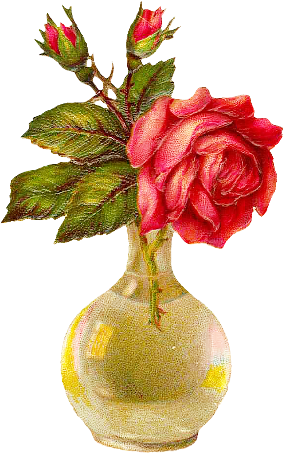 Vase Flower Garden Roses Drawing - Vase Flower Garden Roses Drawing (610x949)