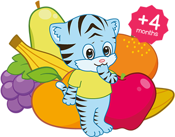 No Added Sugar - Fruit (387x318)