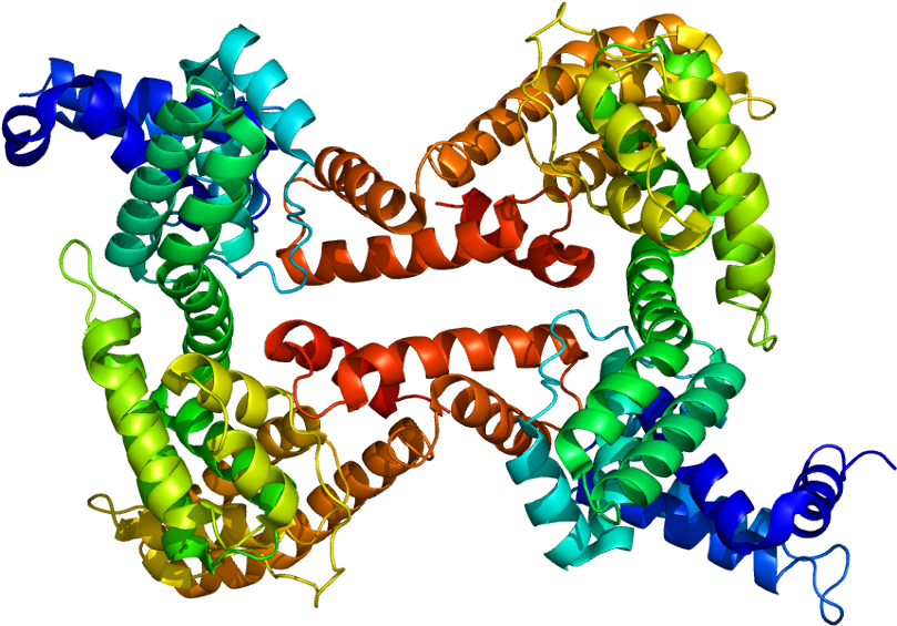 Vitamin D Binding Protein (858x614)