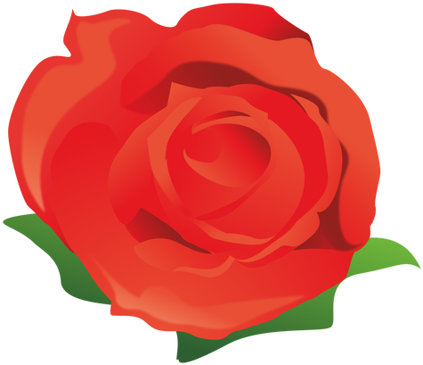 Cartoon Pictures Of Roses Group - Rose Cartoon Png (512x512)