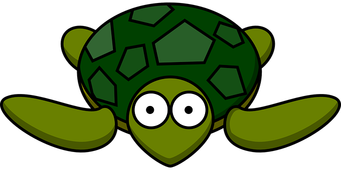 Turtle Green Shell Tortoise Animal Reptile - Cartoon Turtle Clip Art (680x340)