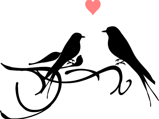 Love Birds Clipart Black And White - Bird Black And White (640x480)