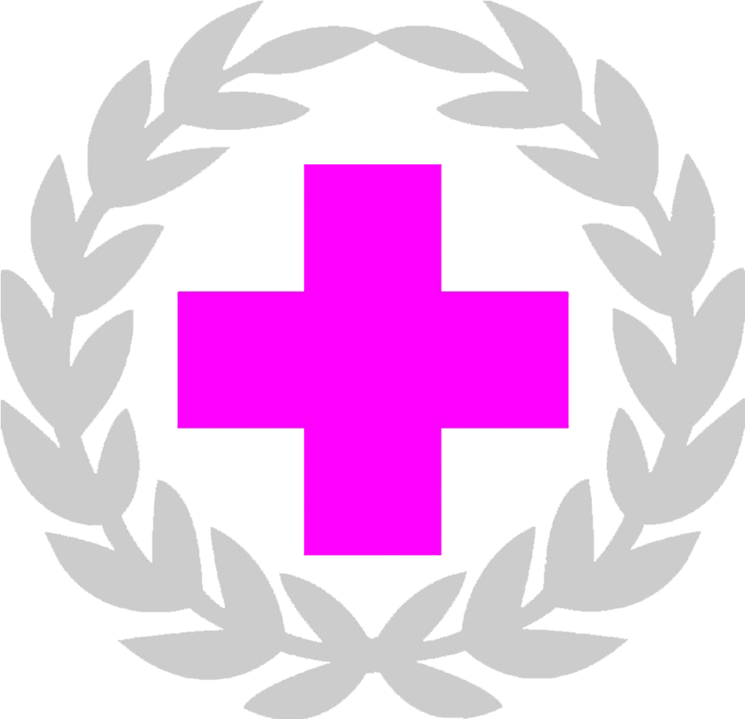 Xinyu Red Cross International Red Cross And Red Crescent - Xinyu Red Cross International Red Cross And Red Crescent (1275x1230)