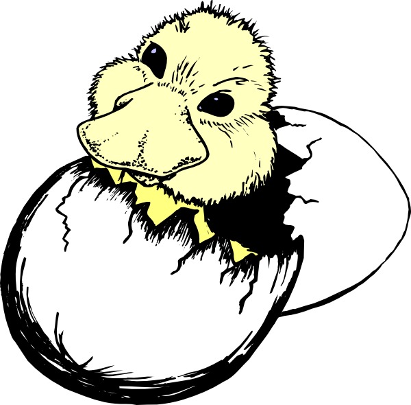 Clip Art - Cartoon Egg Hatch Png (600x590)