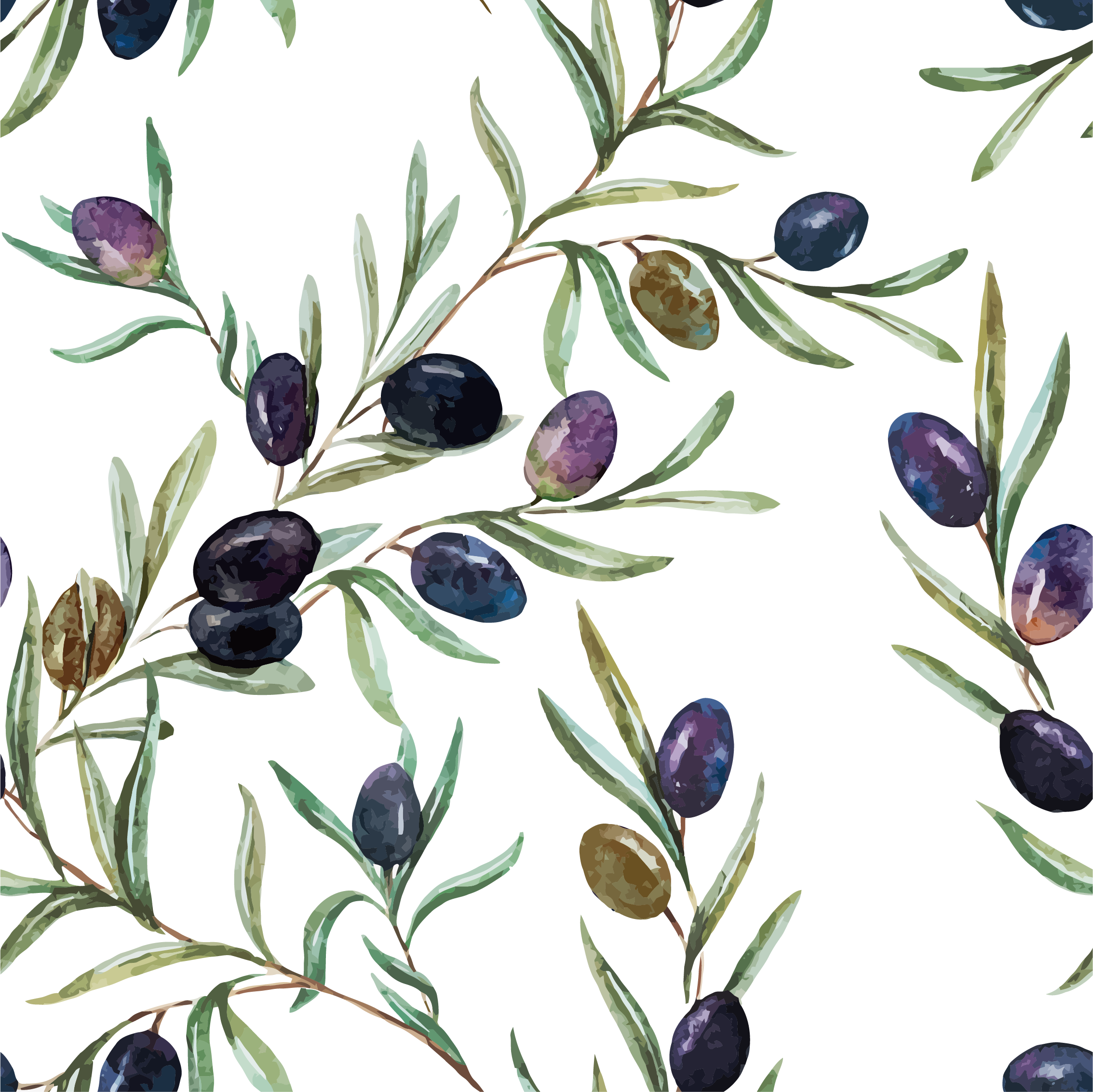 Watercolor Painting Olive Oil Illustration - Olive (2267x2266)