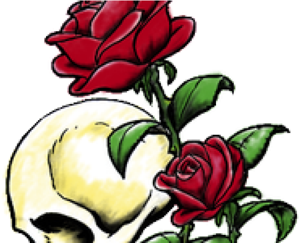 Rose Tattoo Png Transparent Images - Hybrid Tea Rose (640x480)