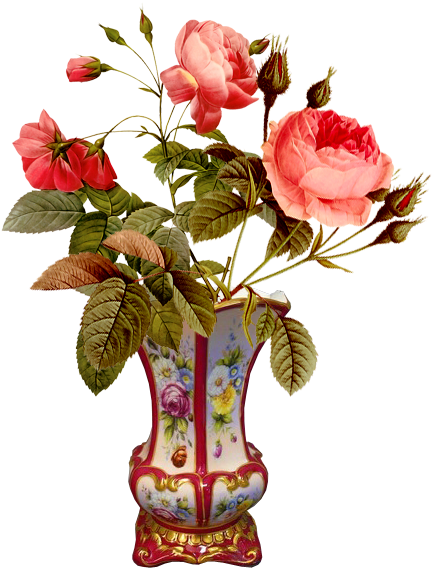 Tubes Victoriens / Fleurs - Pierre-joseph Redoute Rose Throw Blanket (452x602)