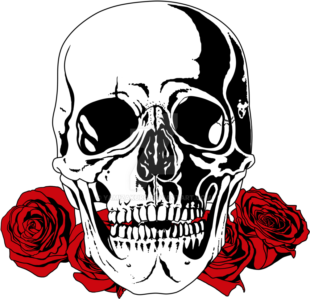 Skull. Векторный череп. Череп на белом фоне. Череп без фона
