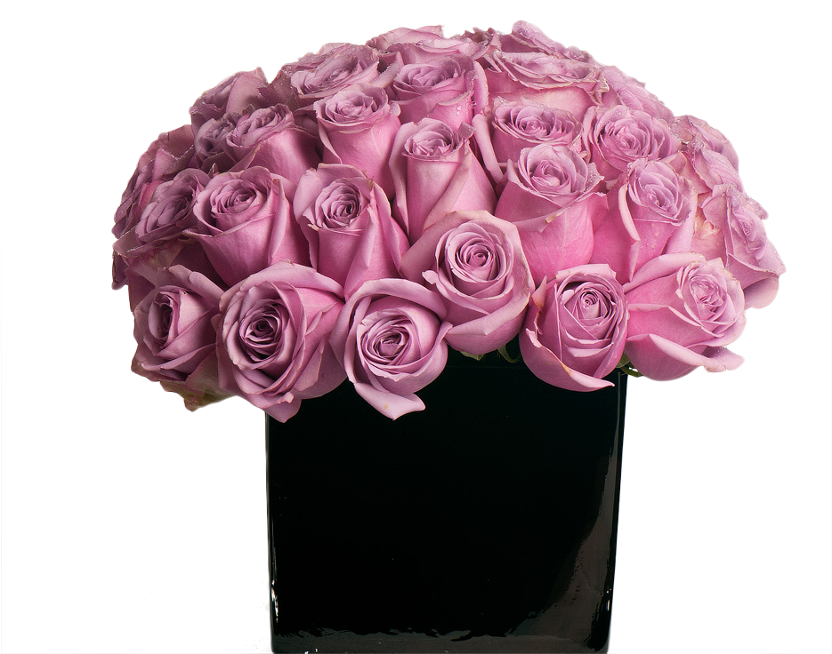 Stop And Smell The Roses (1500x777)