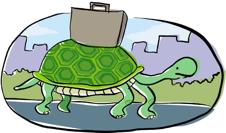 I Will Do My Best To Get Everyone Up To Date On What - Sea Turtle (883x527)