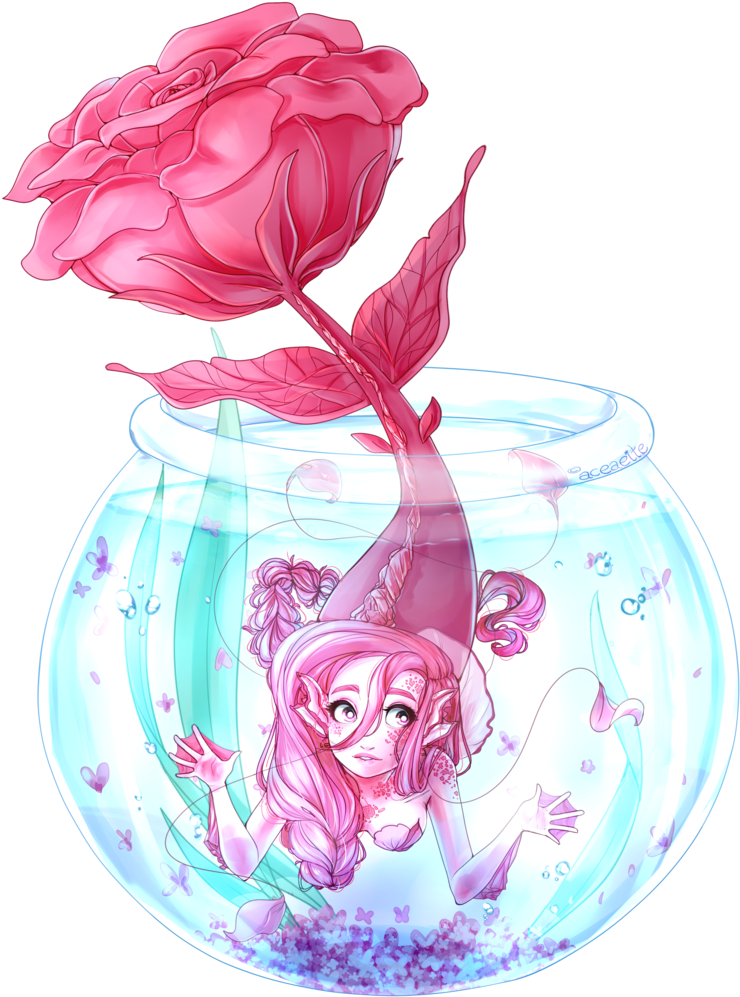Rosephy In A Vase [art/oc] By Aceaeite - Illustration (800x1080)