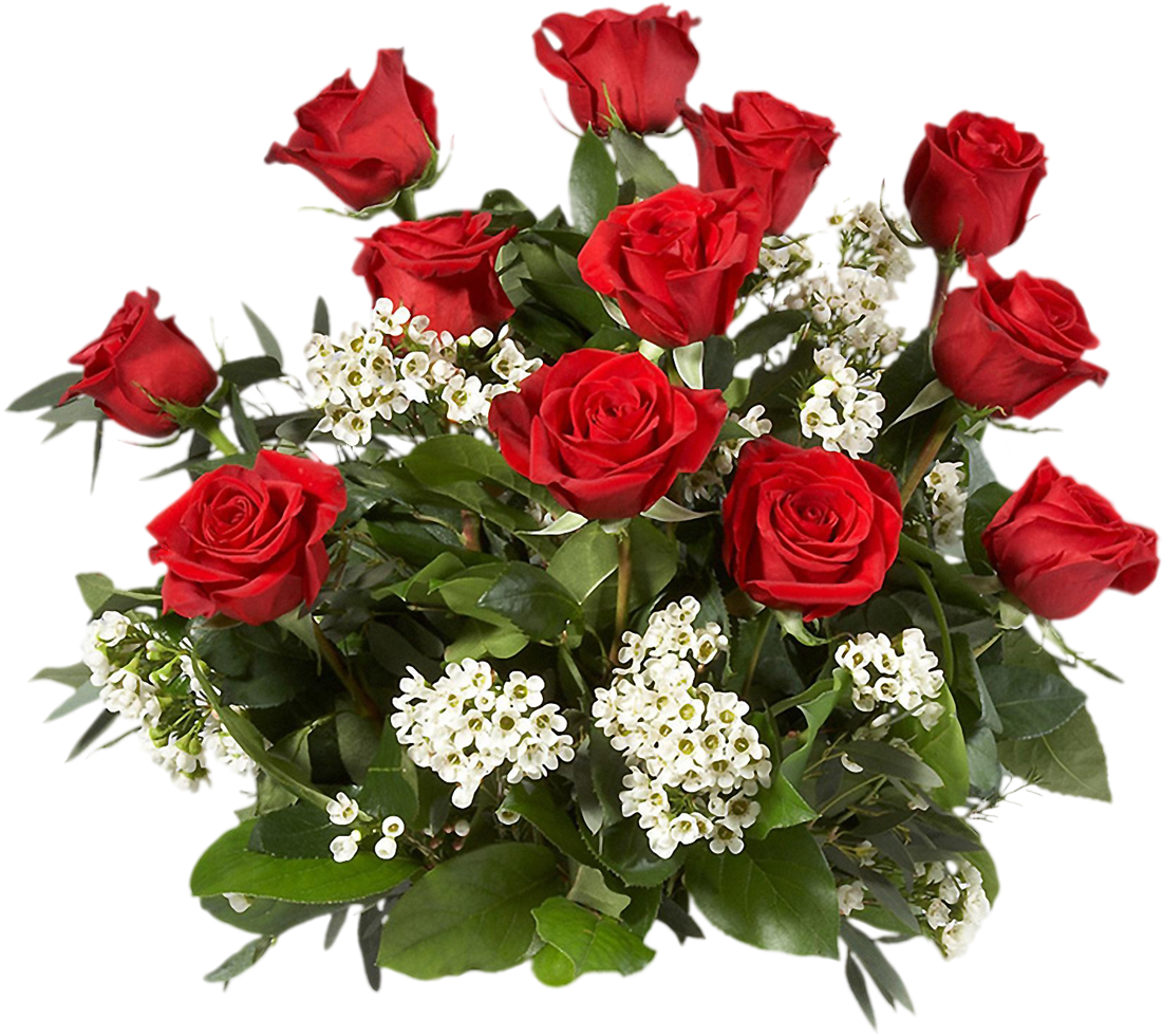 Make Roses Last Longer (1208x1181)