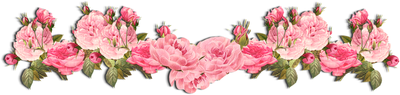 Picture - Pink Flowers Clip Art Border (1600x498)