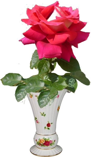 Soloing, Vase, Flower Vases, Jar - Fruit (391x617)