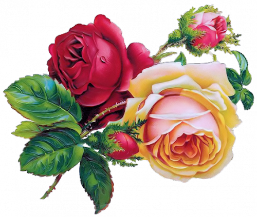 Free Pictures On Pixabay - Vintage Rose Clip Art (500x423)